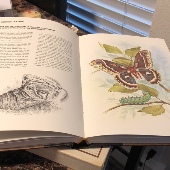 Character Sketches From The Pages Of Scripture Illustrated In The World - Picture 12 of 15